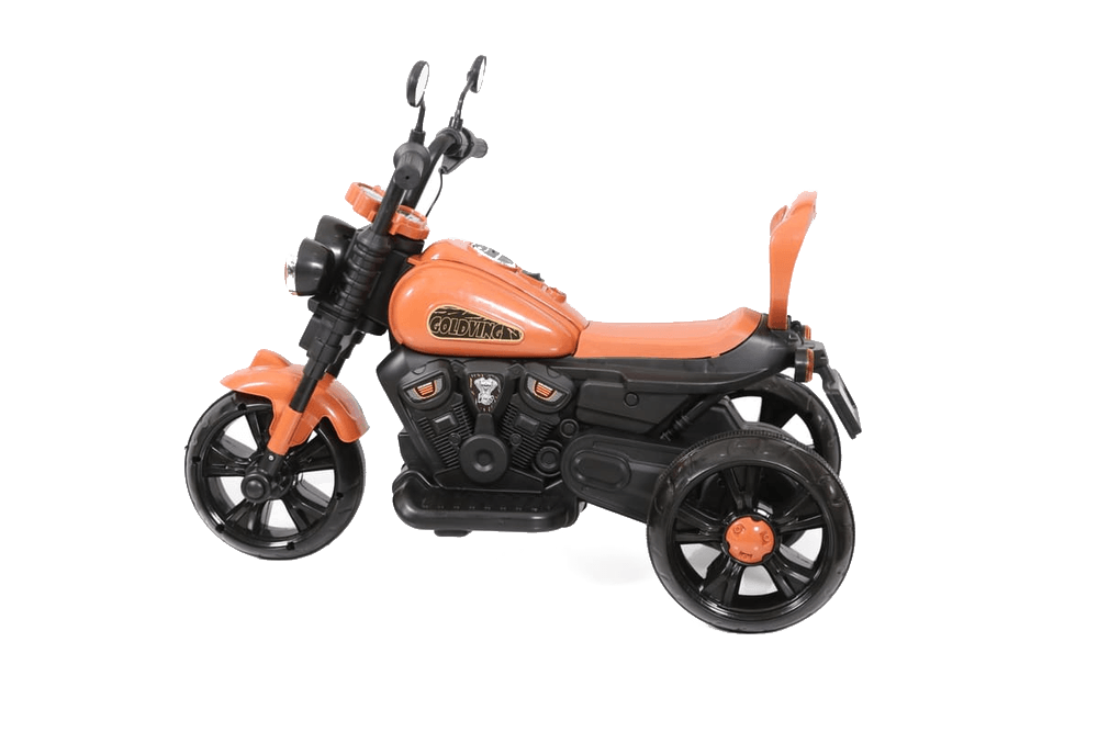Goldwing 12V