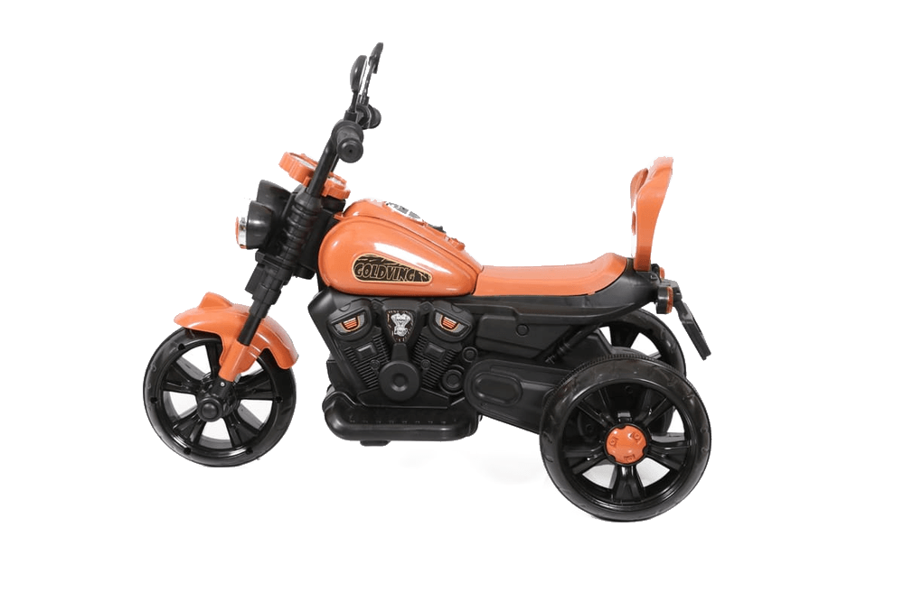 Goldwing 6V