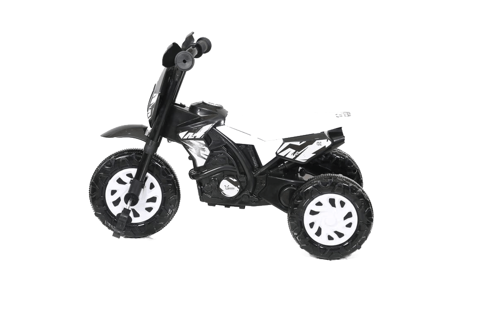 GT Tricycle